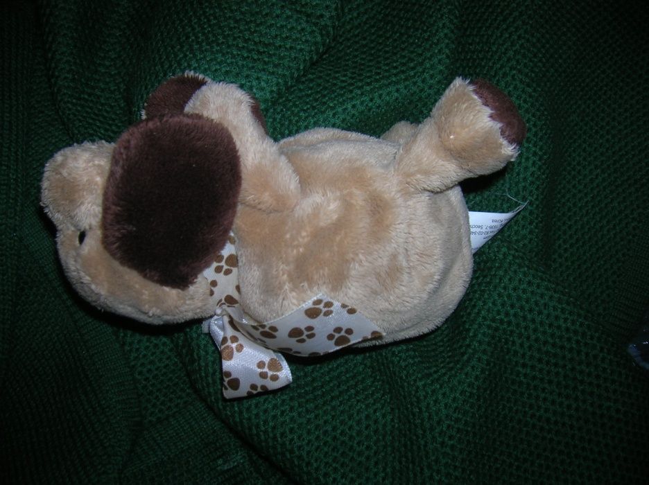 Пес Барбос и щенок Лялечка