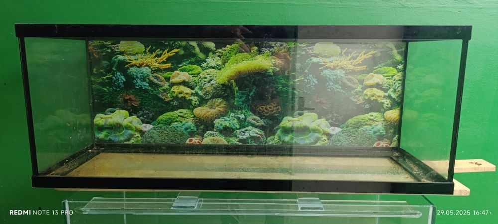 Акваріум 1160д×450в×360г