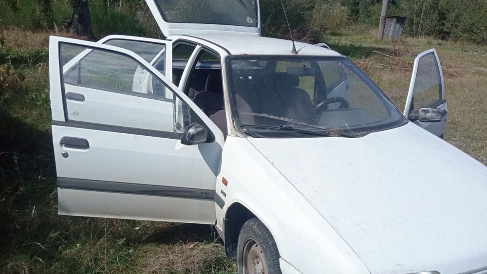 Автомобіль Citroen ZX 1.4