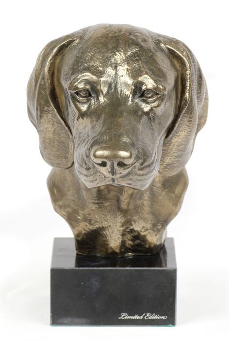 Wyżeł weimarski głowa na kamieniu Art-Dog