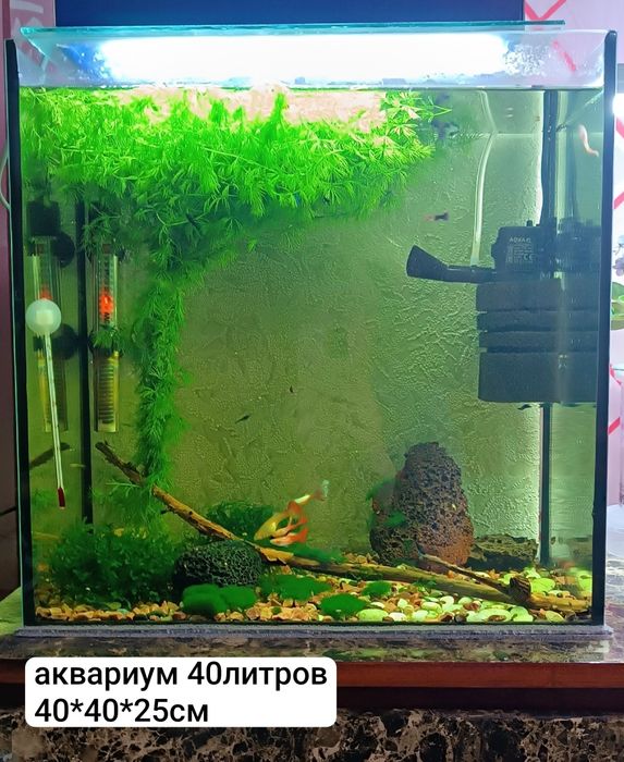 Аквариум 40литров