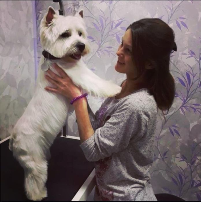 Стрижка, тримминг собак и кошек. Не дорого