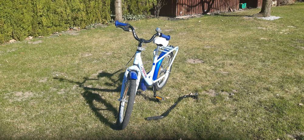 Rowerek dziecięcy aluminiowy Pegasus rozm.18