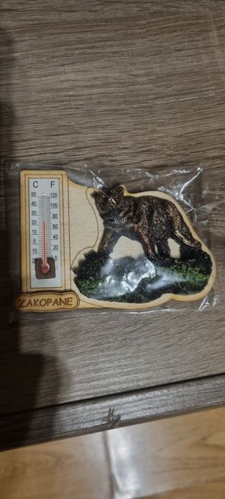 Magnes na lodówkę Zakopane