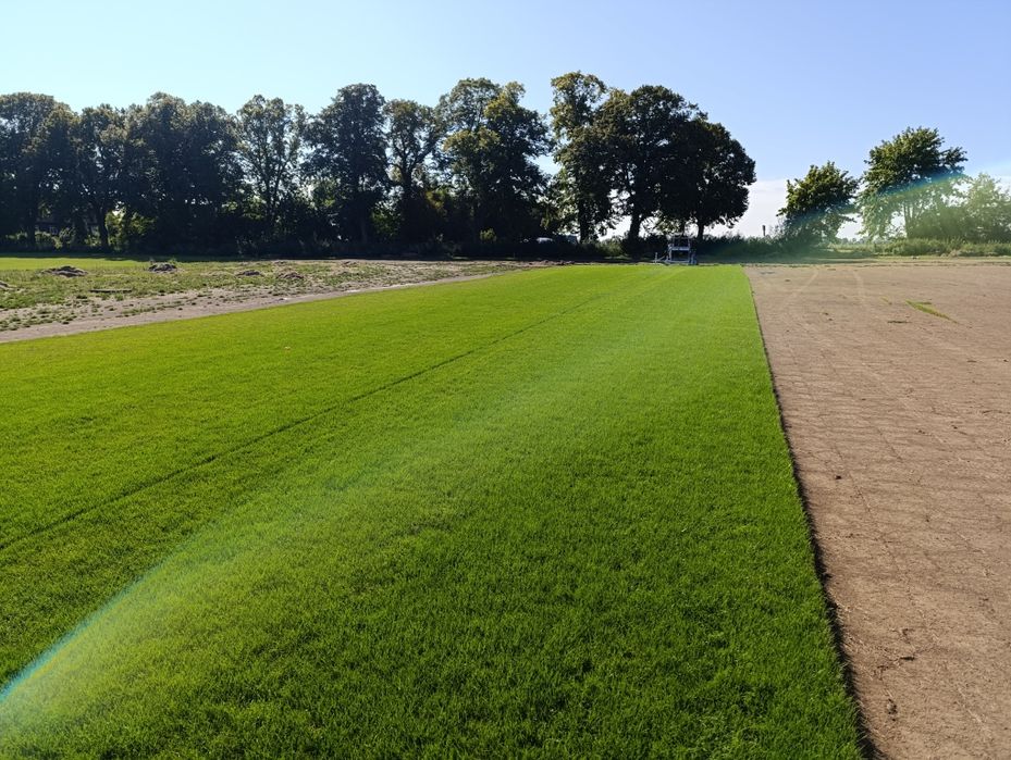 Trawa z rolki/Trawa ogrodowa/Transport