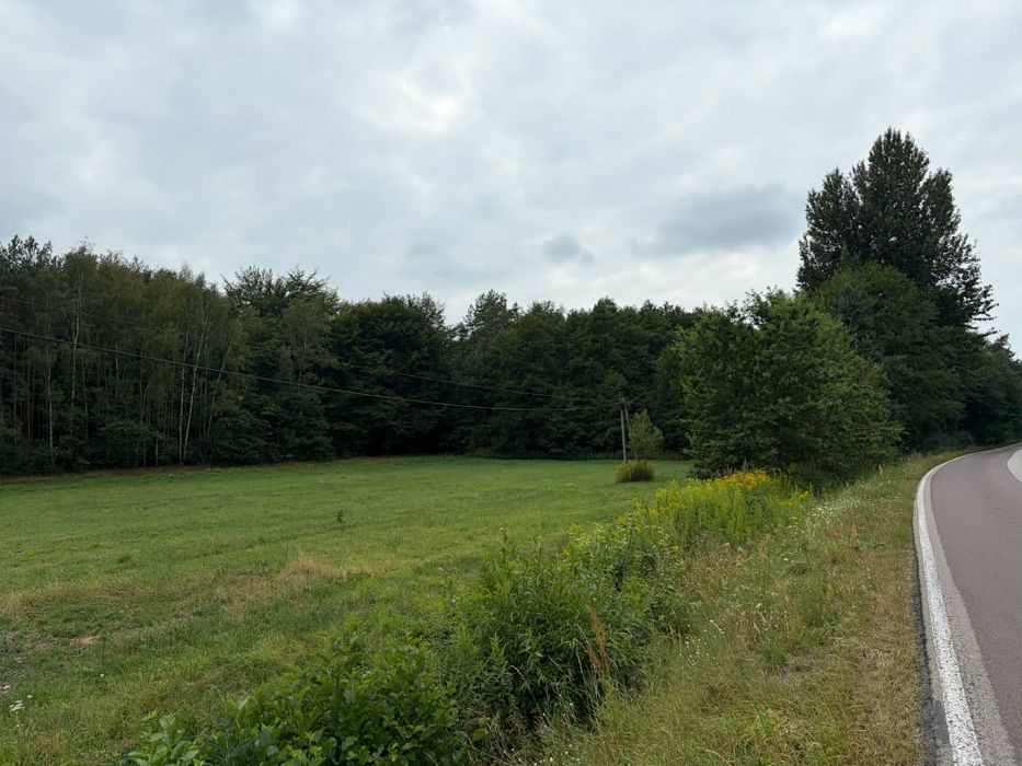 Dzuałki budowlane 15 ar Warunki zabudowy - Widok 4