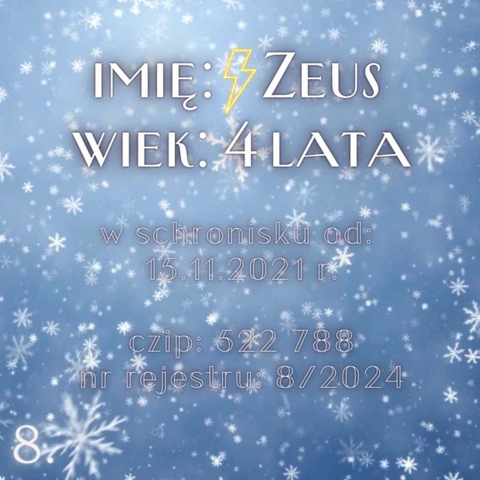 Wciąż wierzę, że istniejesz. Mikołaju proszę o pomoc i dom !