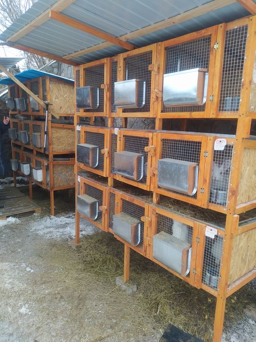 Продам мясо кролика