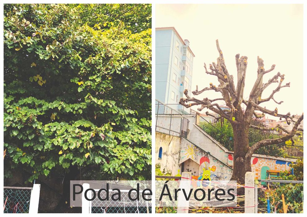 Arborismo e Jardinagem.