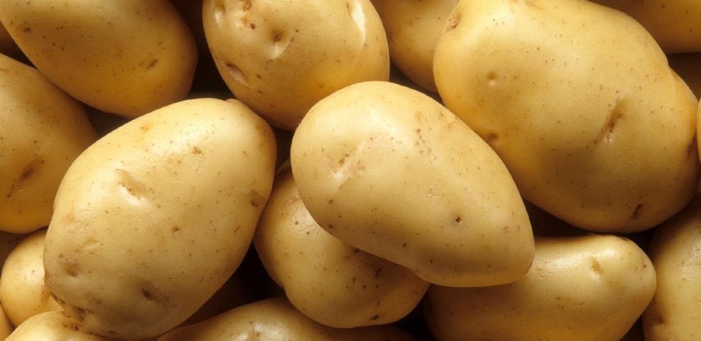 Batata biológica consumo