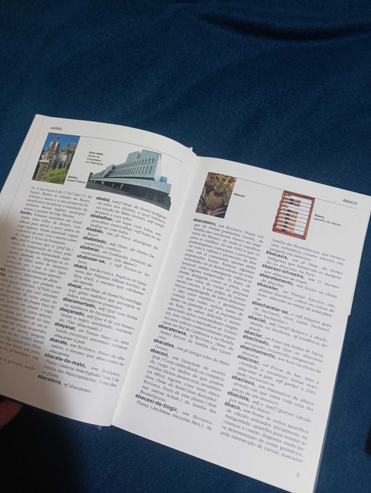 A Enciclopédia - Público