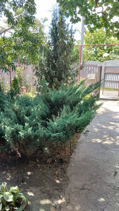 Сдам дом для военных