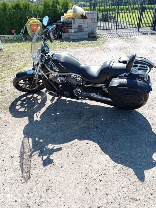 Harley Davidson V-Rod  VRSCA -sprzedam