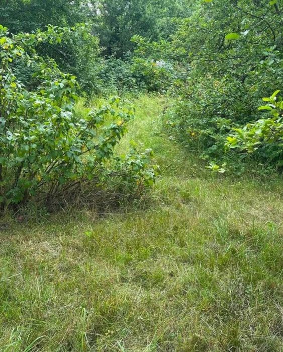 Продаж затишної дачі в 15 хв. від Львова