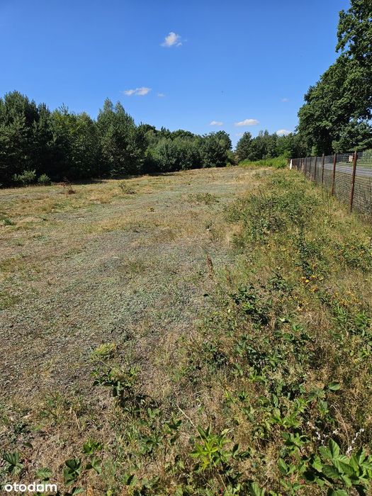 Działka budowlana 3003 m² – Brogi, gm. Dobroń
