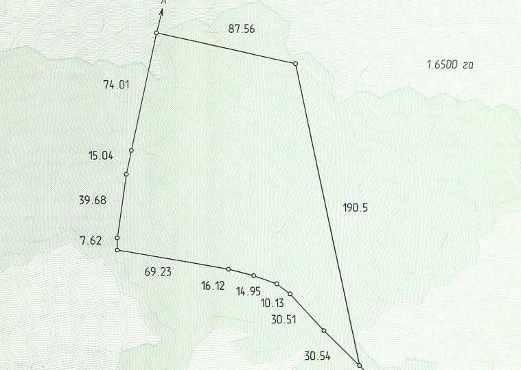 Земельна діляка  1,65 га рекреаційного призначення