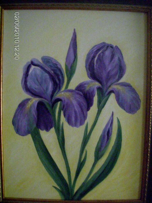 Pinturas a oleo sobre tela com moldura.