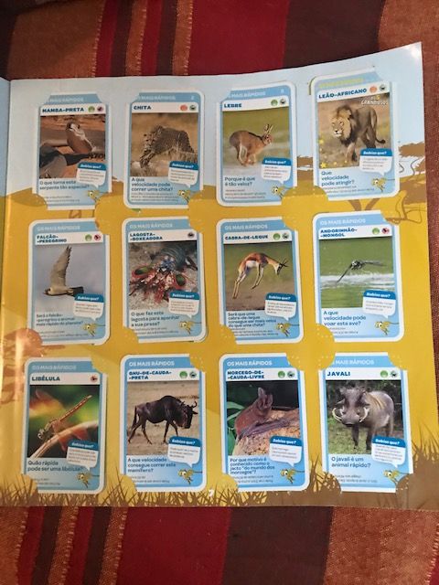 Cadernetas super desportos e super animais Pingo Doce