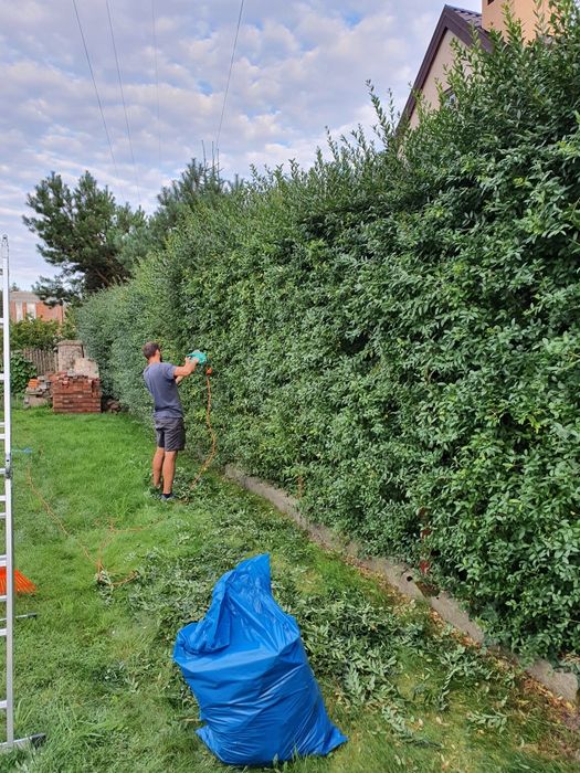 Ogrodnik Usługi Ogrodnicze Pielęgnacja Ogrodu Zakładanie Ogrodu
