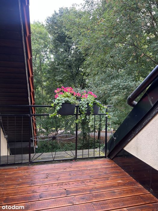 Elbląg, Moniuszki, zamknięte osiedle z widokiem na park Dolinka