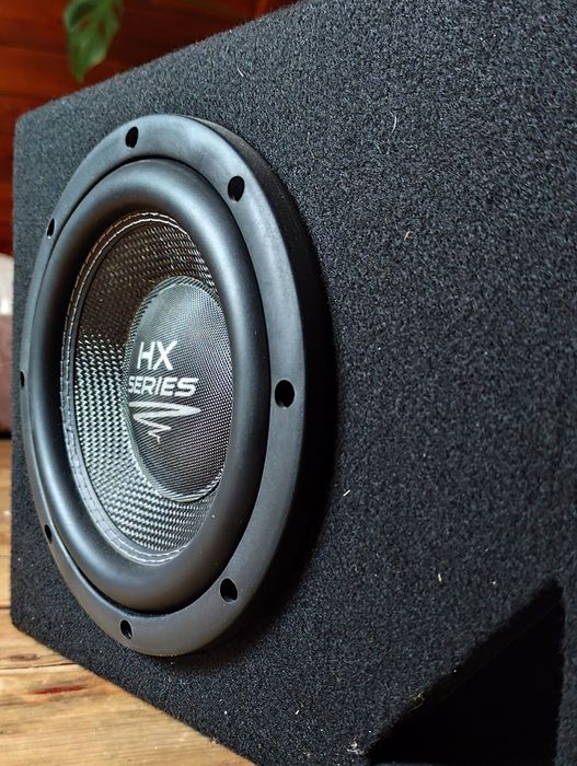 Subwoofer Audio System HX08SQ – 250 W RMS