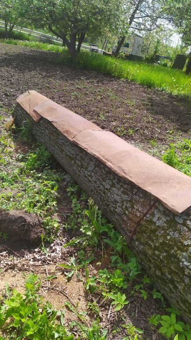 Дуб. Кругляк