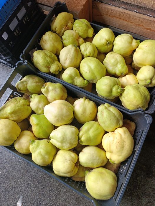 Marmelos Minimo 5 kg