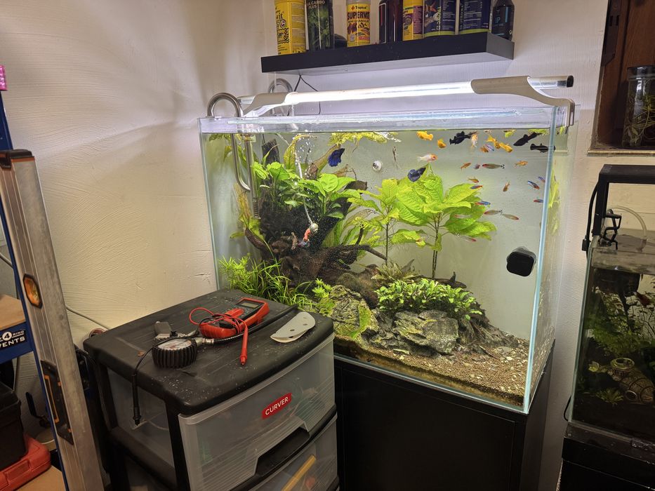 Akwarium zestaw  opti 150 L