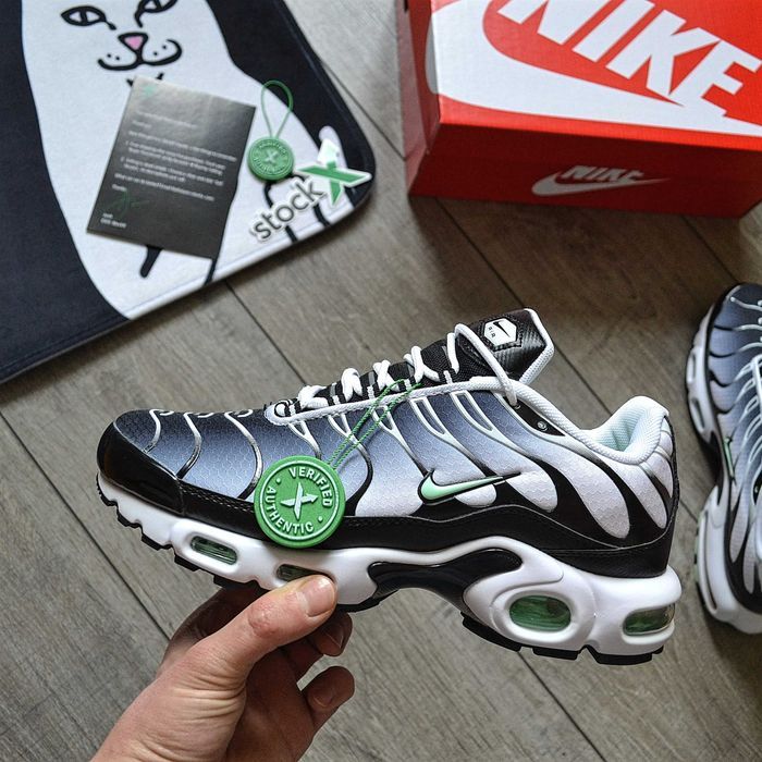 Мужские кроссовки Nike Air Max Plus Tn "White Black Mint Green Homme"