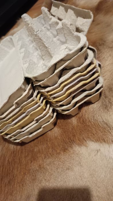 Wytłaczanki na 10 jajek