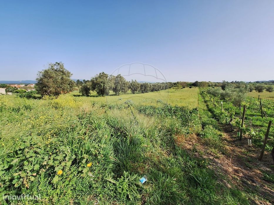 Terreno  para venda — Mealhada, Ventosa Do Bairro E Antes, Aveiro