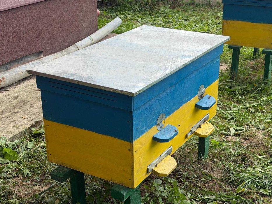 Продам вулики з бджолами Вулик Лежак «Дадан» 24 рамковий