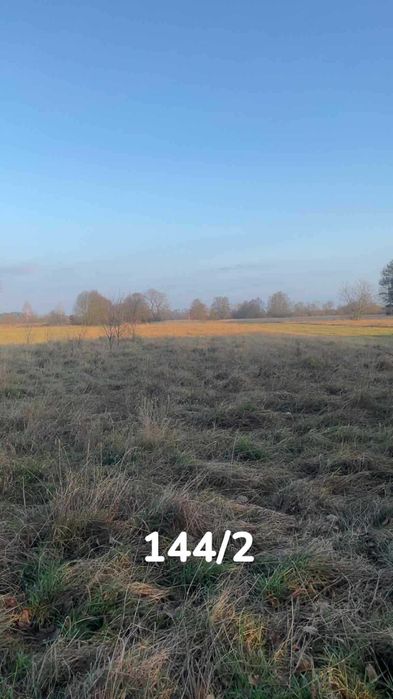 Sprzedam Działkę Rolno-łąkową Blisko rzeki Pilica - Widok 2