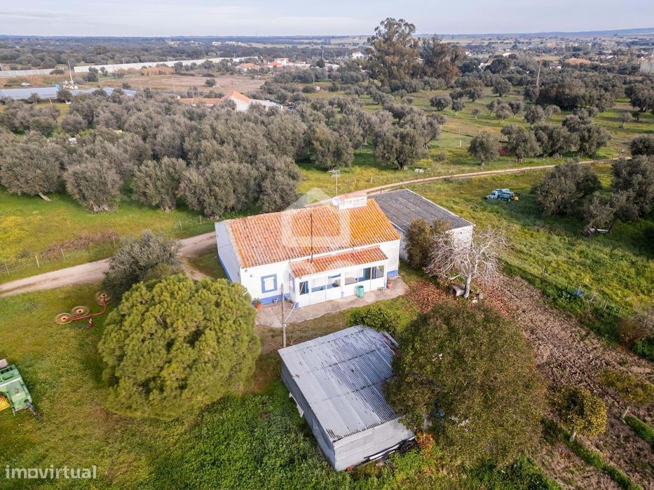 Quinta com Moradia, Olival e Excelente Localização | Próxima de Évora