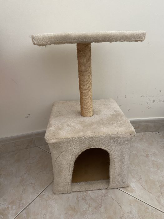 Casinha para gato animais pets