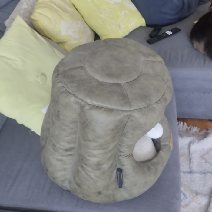 Cama de Gato novo