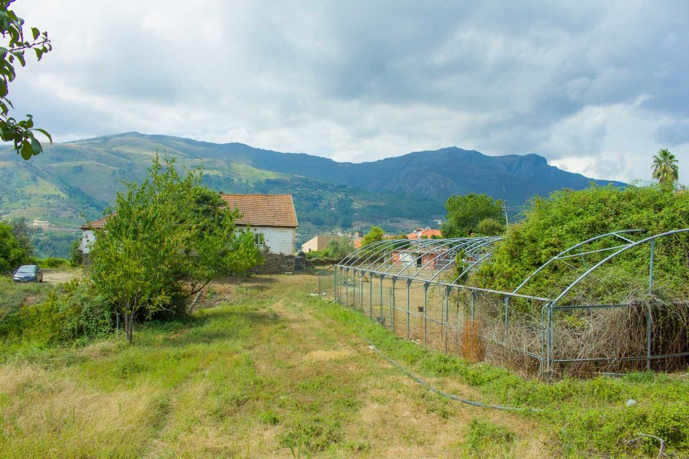 Quinta no Douro para vinho do porto e turismo 3ha