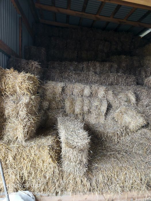 Продам    солому!
