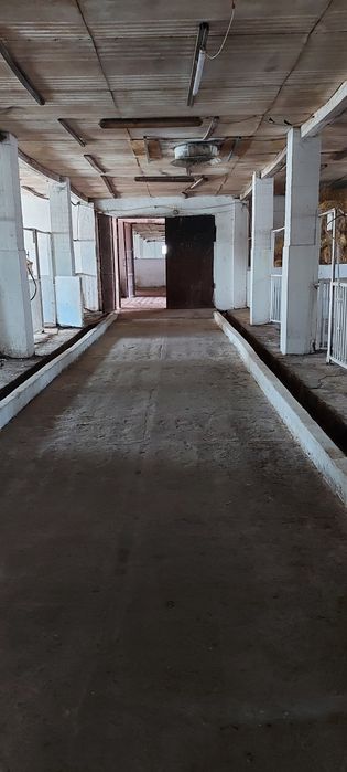 Продам ферму хозяйство ранчо