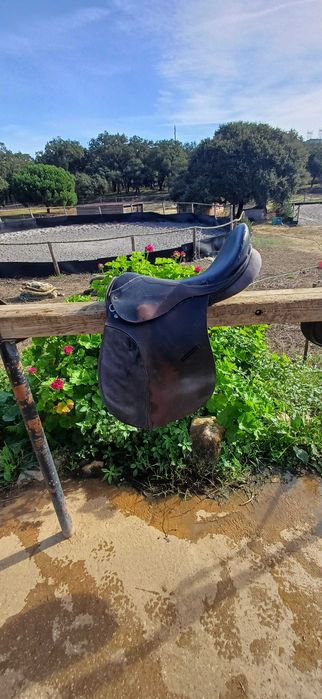 Selas inglesas e de pónei usadas