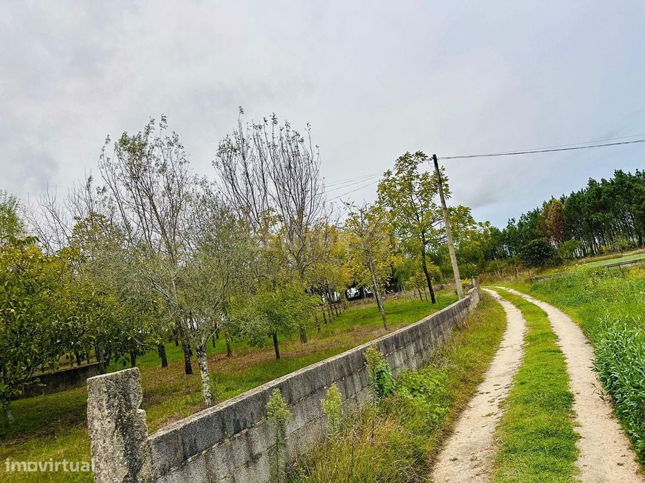 Dois artigos: Urbano com 498 m2 e terreno rústico com 1000 m2 em Vilar