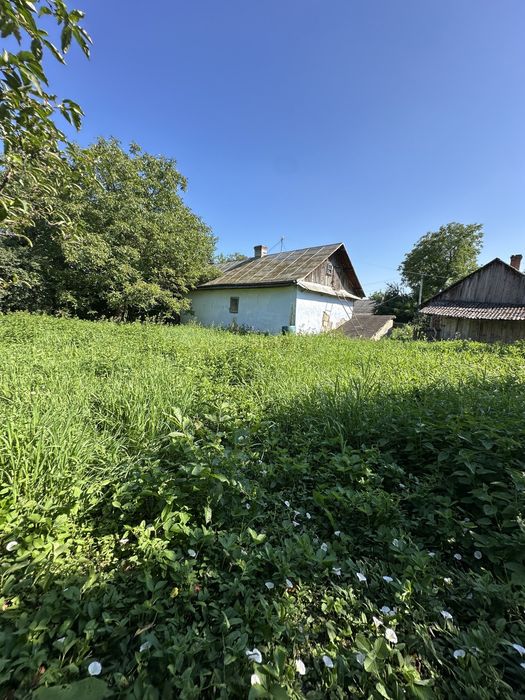 Продаж будинку та присадибної ділянки у с. Миклашів