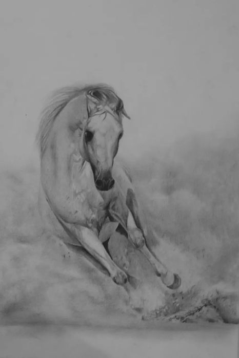 Rysunki, obrazy gotowe i na zamówienie