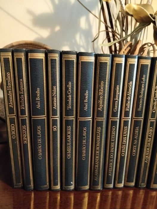 Livros dos melhores autores portugueses