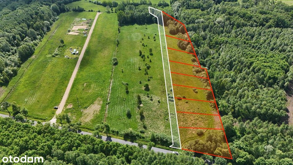 Działki budowlane na polanie wśród lasów w Łęcznie, raty 0%
