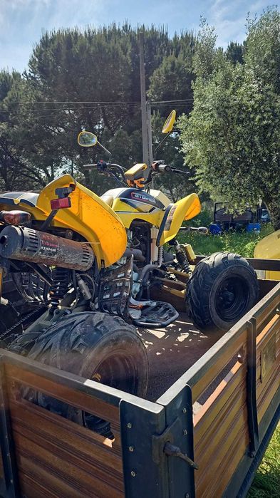 Moto 4,  Bashan Catbrier 200cc Matriculada