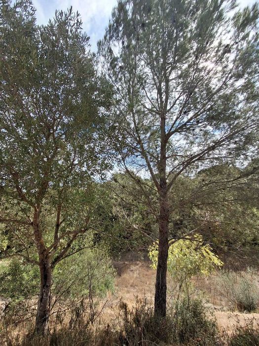 TERRENO COM Projeto de Construção Aprovado