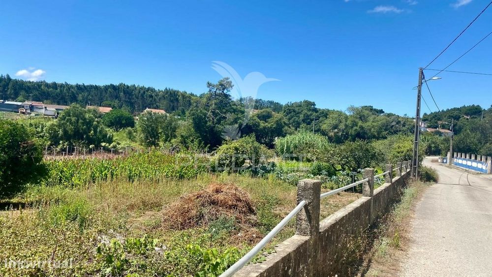 Ruina com Terreno Rio Maior - Abuxanas