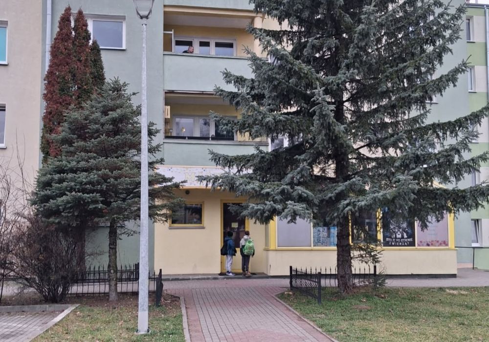 Zdjęcie 3