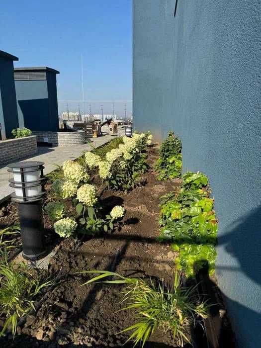 Двухкомнатная квартира ЖК Атмосфера, Аркадия